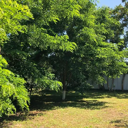 Grauri Si Smochini 3* Vadu