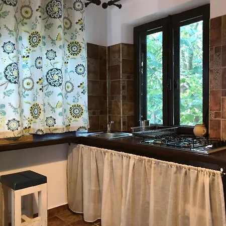 Grauri Si Smochini 3*