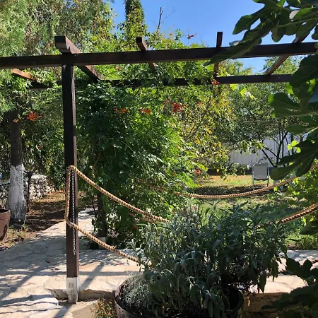 Grauri Si Smochini Vadu