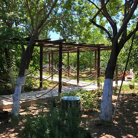 Grauri Si Smochini 3*