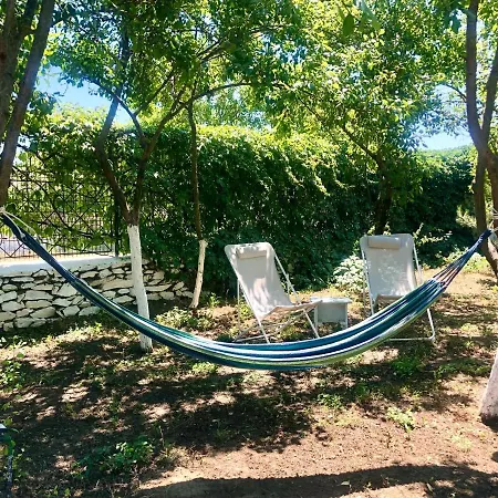 Grauri Si Smochini Vadu