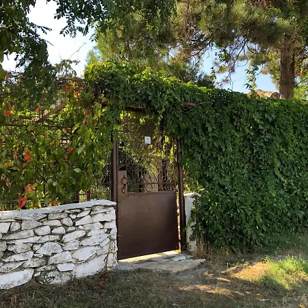 Grauri Si Smochini 3*